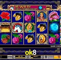 Platform Technology ok8